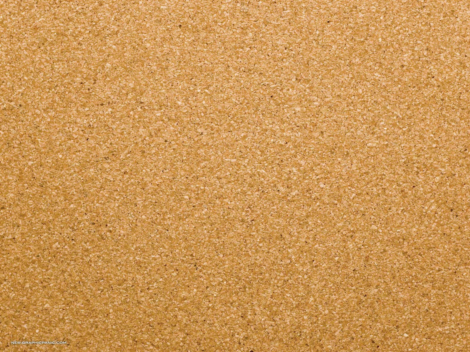 board background video
